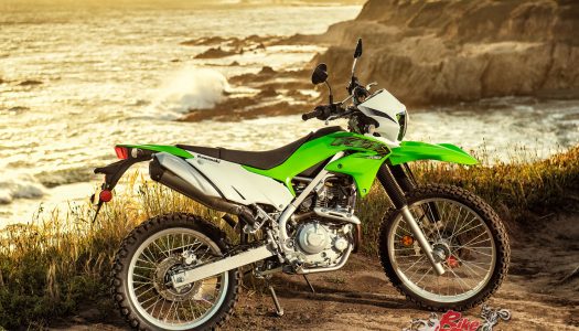 New Model: 2019 Kawasaki KLX230